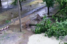 DSCF3601.webp