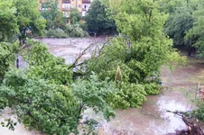 DSCF3603.webp