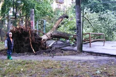 DSCF3616.webp
