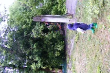 DSCF3618.webp