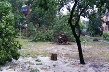 DSCF3625.webp