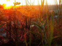 PICT0900.webp