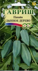 .webp