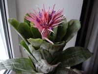 imgp2176.webp