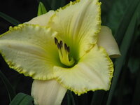 IMG_3825_изменить размер.JPG