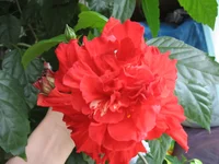  148.webp