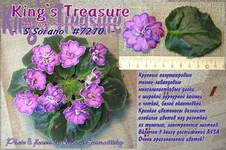 King's_Treasure.webp