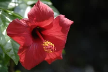 _DSC2733.webp