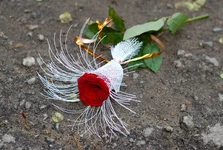DSC_0256.JPG