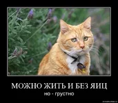 5f2z1by6xrrs.webp
