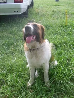 S7304045.webp