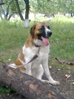 004.webp