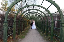 IMG_10 (833).webp