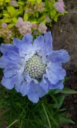  1679.webp