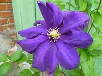 P1050613_resize.webp