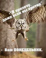панидельник.jpg