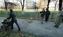 отравл.jpg