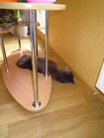 DSCN4668.webp