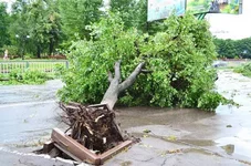 o-00305638-n-00304256.webp