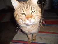 DSCN6381.webp