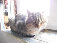 DSCN6394.webp