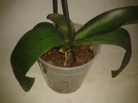 2015-06-26 19.41.03.webp