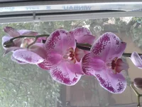 2015-06-26 19.49.40.webp