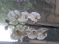 2015-06-26 19.48.13.webp