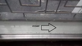 03.webp