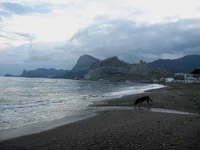  019_2.webp