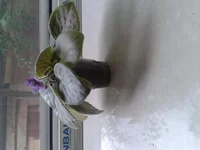 2015-06-28 12.05.43.webp
