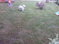 IMG_20150628_174242.webp