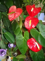 DSC08571.webp