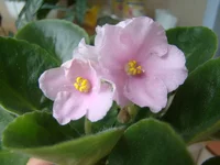 DSC08528.webp