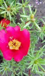  1764.webp