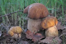 DSCF6972.jpg