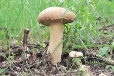 DSCF6998.jpg
