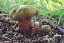 DSCF6976.jpg