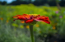 FOTO2042.webp
