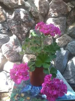 -0290.webp