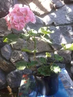 -0295.webp