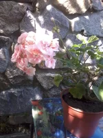 -0292.webp