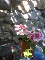 -0297.webp