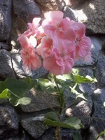 -0296.webp