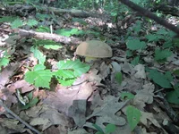 IMG_4089.webp