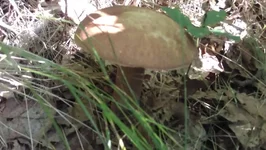IMAG2026.webp