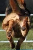 x_0d5094ee.webp