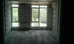 IMAG0623.webp