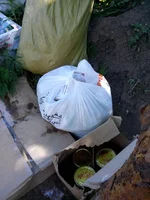 CAM02447.webp