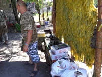 CAM02470.jpg